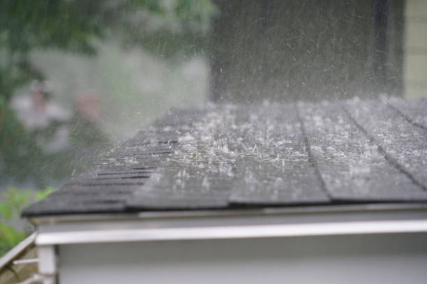 Best Skylight Installation and Repair  in Scottsdale, AZ