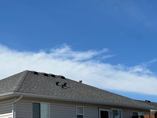 Best Asphalt Shingle Roofing  in Scottsdale, AZ